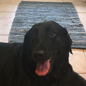 Meet your Posher, Jennie